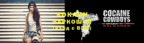 твердый Осташков