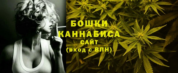 твердый Осташков
