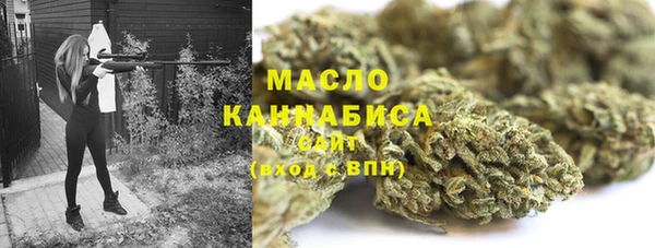 2c-b Тайга