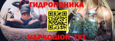 ALPHA PVP Гусев