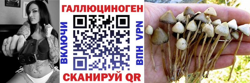 купить   маркетплейс наркотические препараты  Псилоцибиновые грибы мухоморы  Арсеньев 