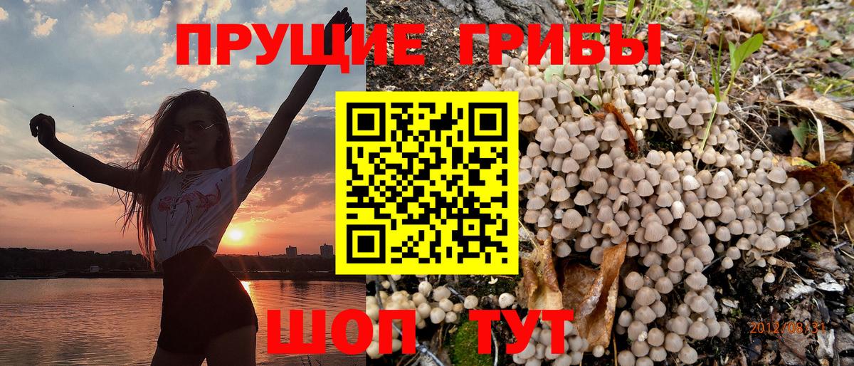 Галлюциногенные грибы мухоморы  Вход с VPN  Арсеньев 