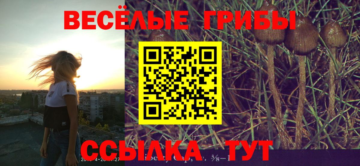 Галлюциногенные грибы прущие грибы  Арсеньев  хочу   Галлюциногенные грибы GOLDEN TEACHER 